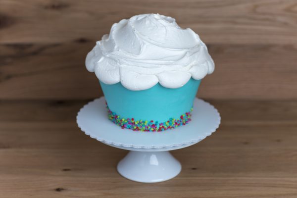 Giant Cupcake